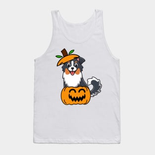 Cute Collie Dog is in a pumpkin Tank Top